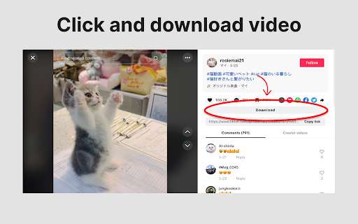 Download TikTok Video screenshot