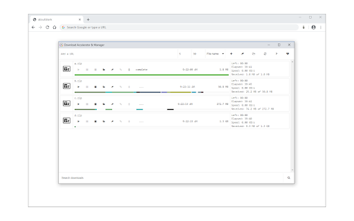 Download Accelerator & Manager screenshot