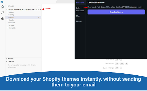 Shopify Theme Downloader screenshot
