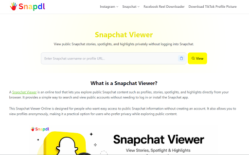 Snapdl screenshot