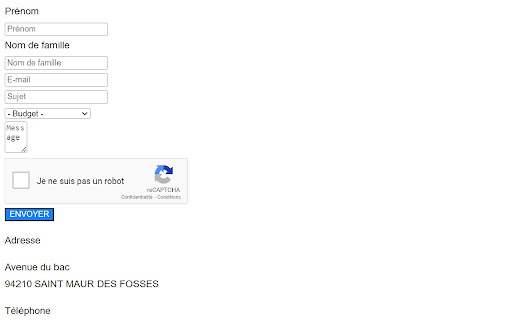 Disable CSS 📋 screenshot
