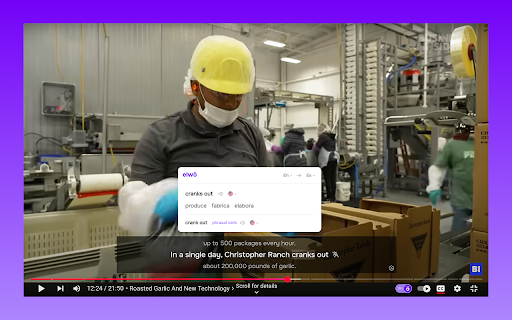Smart AI Translator for Web & YouTube Subtitles — Elwo screenshot