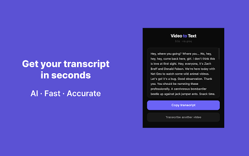 Video to Text (MP4, MOV) – AI Transcriber screenshot