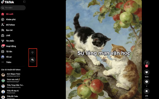 TikTok Browser Downloader screenshot