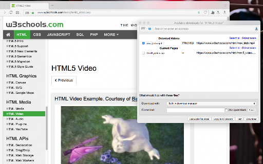 Easy Video Downloader screenshot