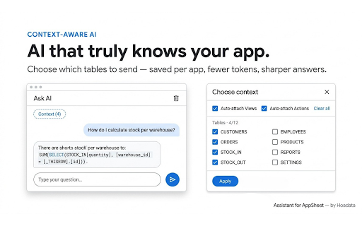 Assistant for AppSheet — by Hoadata screenshot