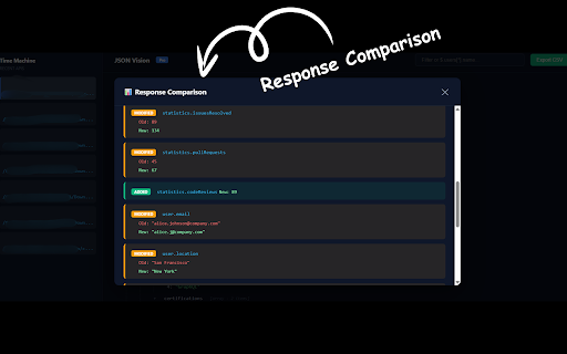JSON Vision Pro screenshot