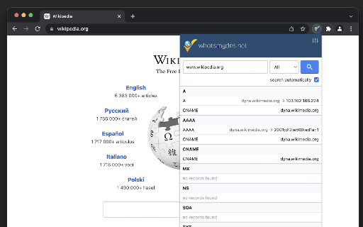 DNS Lookup screenshot