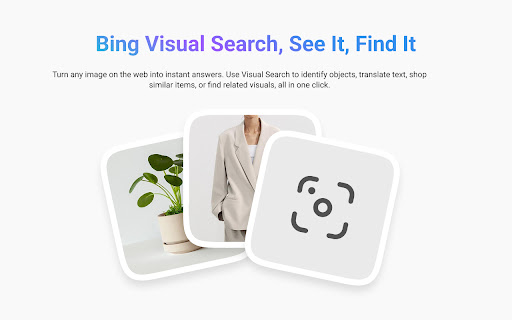 Bing Visual Search screenshot