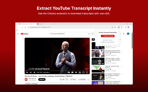 YT2PDF - YouTube Transcript Exporter screenshot