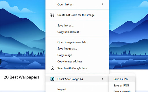 Save Image As Type screenshot
