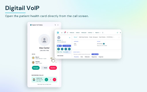 Digitail VoIP screenshot