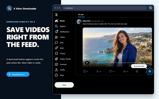 X (Twitter) Video Downloader screenshot