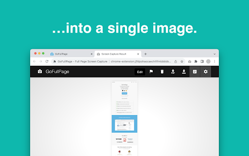 GoFullPage BETA - Full Page Screen Capture screenshot