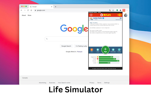 Life Simulator screenshot