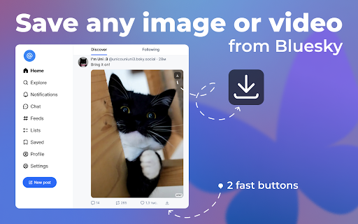 Bluesky Video Downloader — Save Images GIFs screenshot