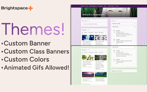 Brightspace/D2L PLUS screenshot