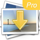 Fatkun Batch Download Image icon