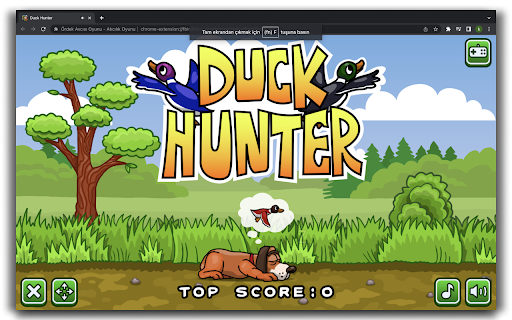 Duck Hunter Game screenshot