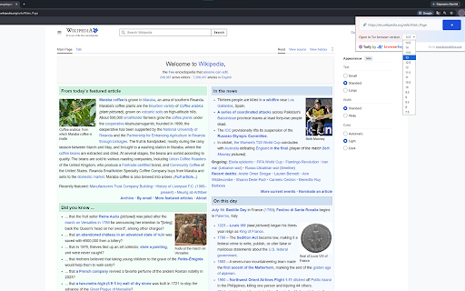 Torify – Anonymous testing screenshot
