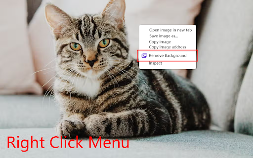 Save Image as Transparent PNG - BgCutout screenshot