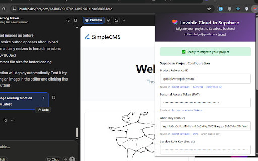 Lovable Cloud to Supabase Migration Tool screenshot
