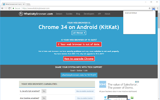 User-Agent Switcher for Chrome screenshot