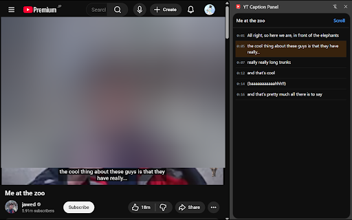 YT Caption Panel screenshot