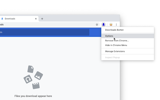 Downloads Button screenshot