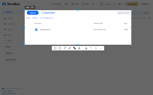 TeraBox Download Assistant screenshot