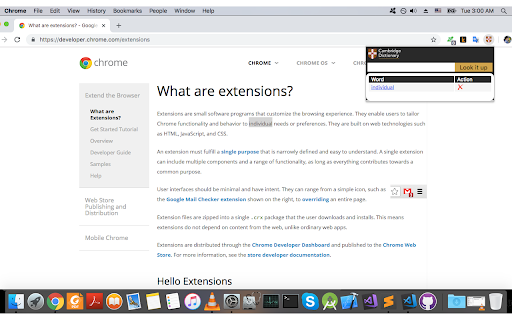 Cambridge Dictionary Lookup screenshot
