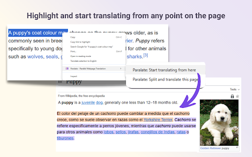 Paralate - Parallel Web Page Translation screenshot