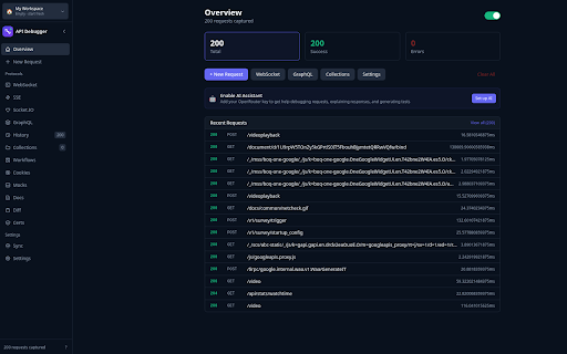 API Debugger - Capture & Debug HTTP Requests screenshot
