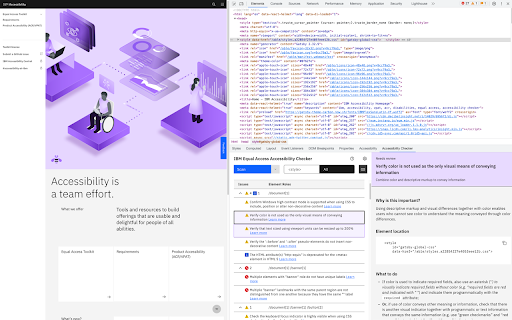 IBM Equal Access Accessibility Checker screenshot