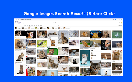 View original image from Google Images screenshot