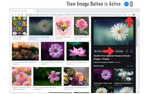 View Image Button screenshot