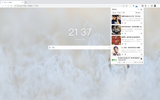 TingYunPlayer screenshot