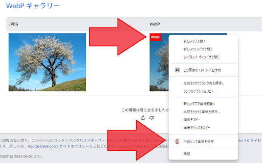 Images to PNG Converter screenshot
