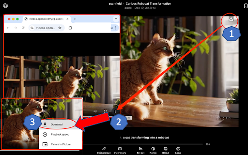 Sora Video Downloader screenshot