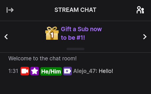 Twitch Chat pronouns screenshot