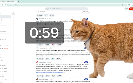 Cat Gatekeeper screenshot