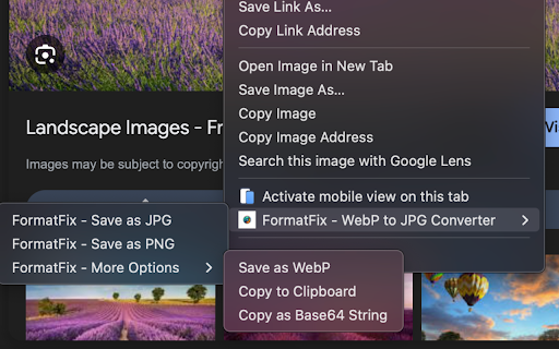 FormatFix - WebP to JPG Converter screenshot