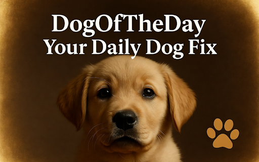 DogOfTheDay - Best Free Dog Photos Daily screenshot