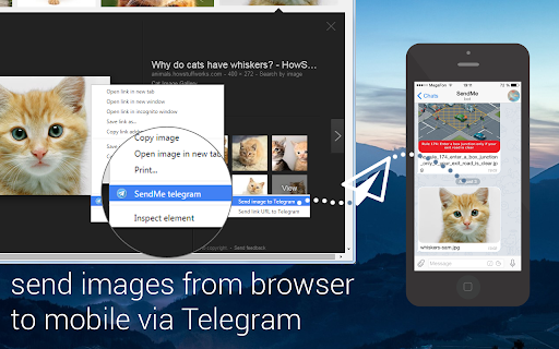 SendMe Telegram screenshot