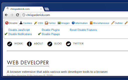 Web Developer screenshot