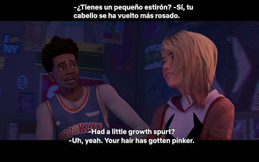 Netflix Subtitle Translator screenshot