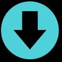Save Image As Type icon