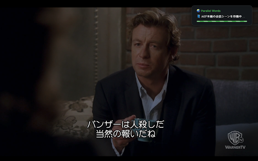 Parallel Words screenshot
