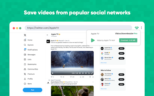 Video Downloader Pro screenshot