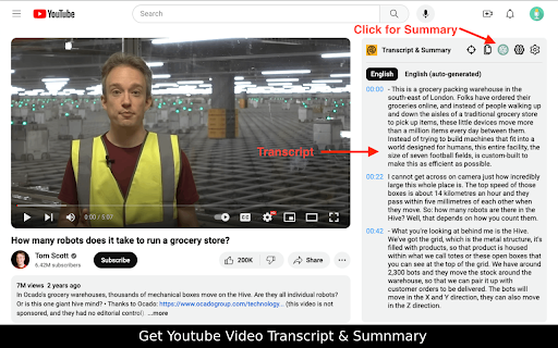 Youtube Summary With AI screenshot